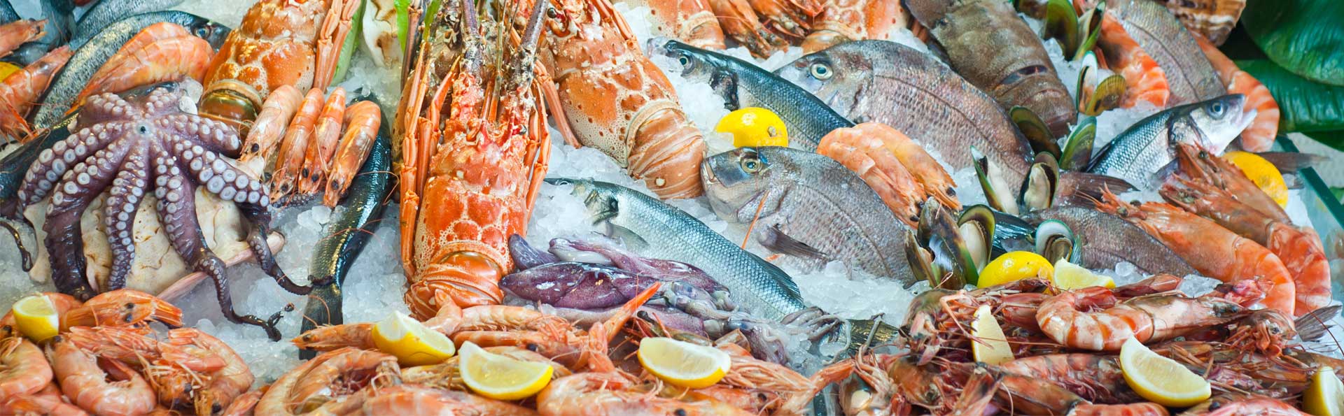 Seafood in Singapore